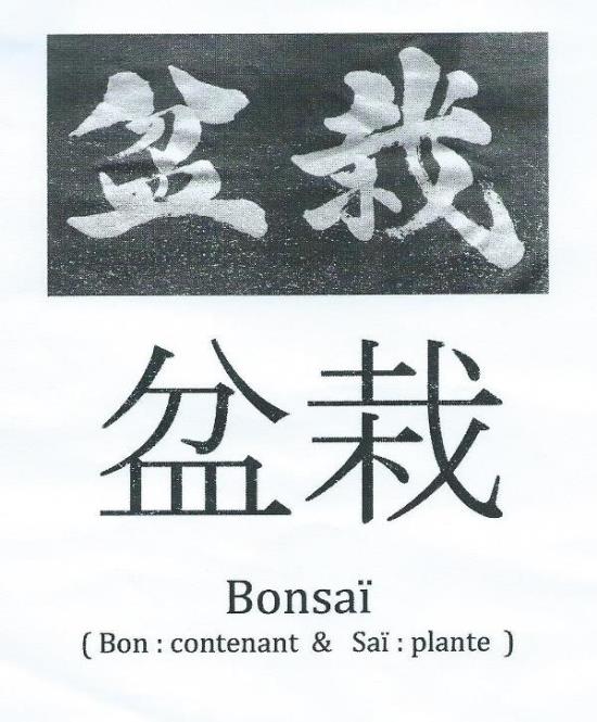 BonsaiSignification